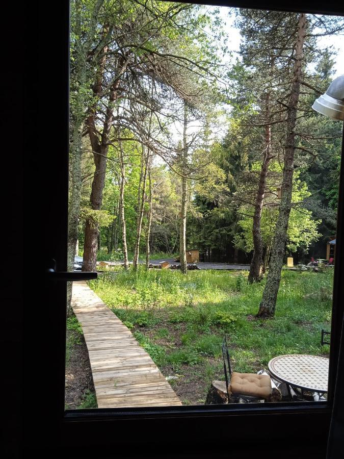 Chalet Cricri Domaine De La Mamounette Champclause Kültér fotó