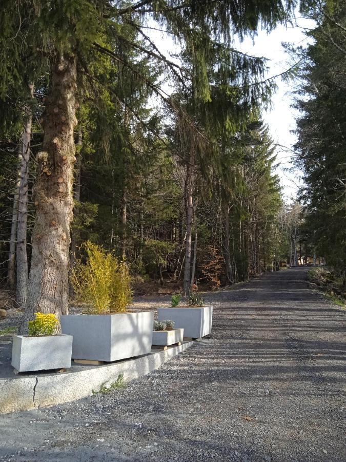 Chalet Cricri Domaine De La Mamounette Champclause Kültér fotó