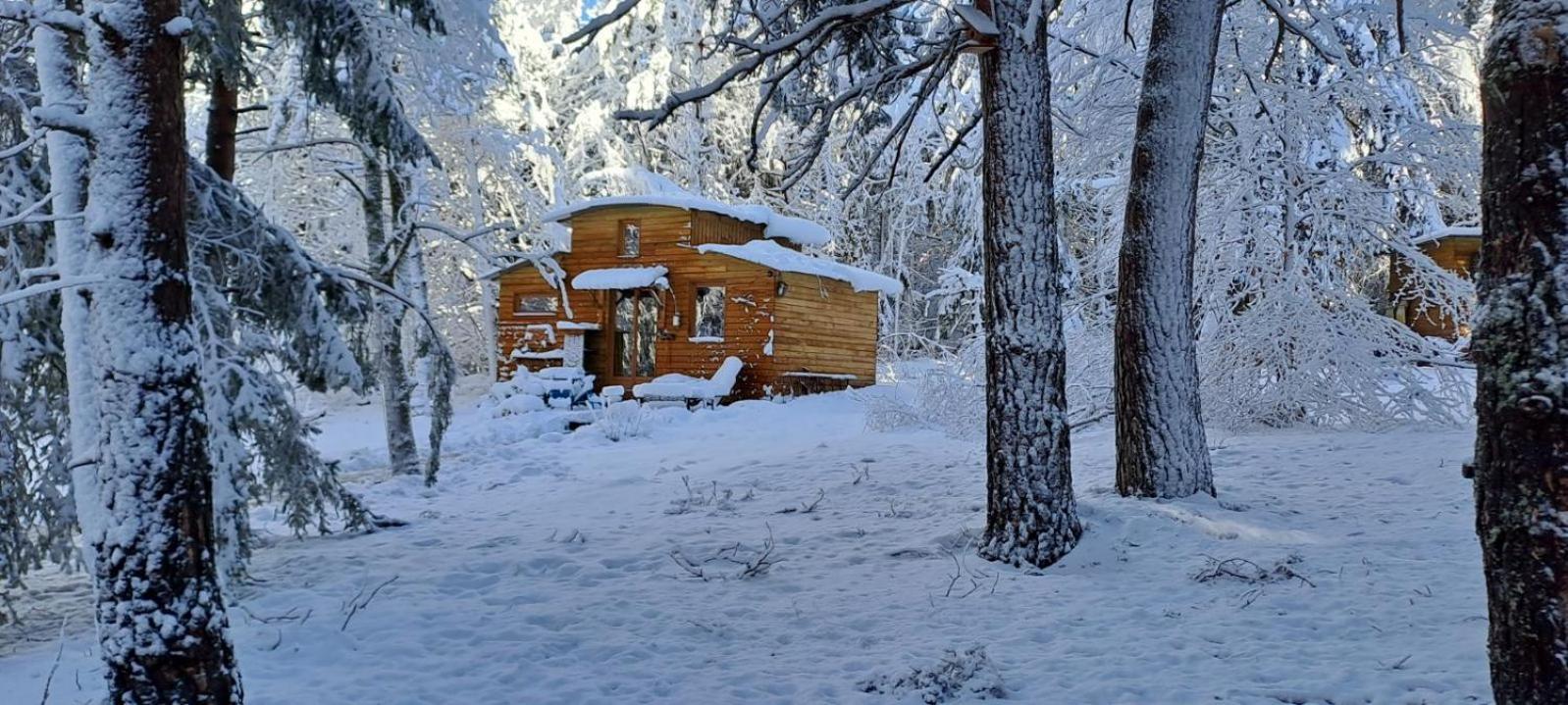 Chalet Cricri Domaine De La Mamounette Champclause Kültér fotó